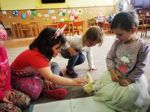 IMG_20250414_090210