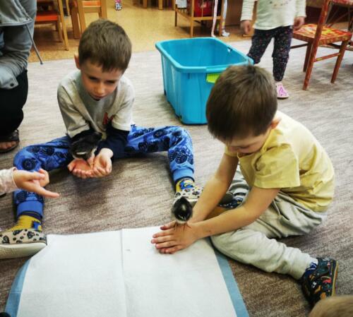 IMG_20250415_092907