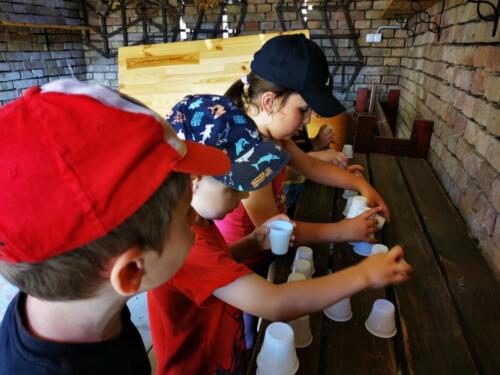 IMG_20250604_095541